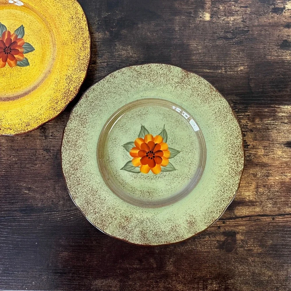 Casa Cristina Home Collection by CBK Floral Ceramic Dinner Plates Set of 2 Mixed